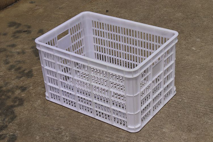 620（白色）（1.9kg）